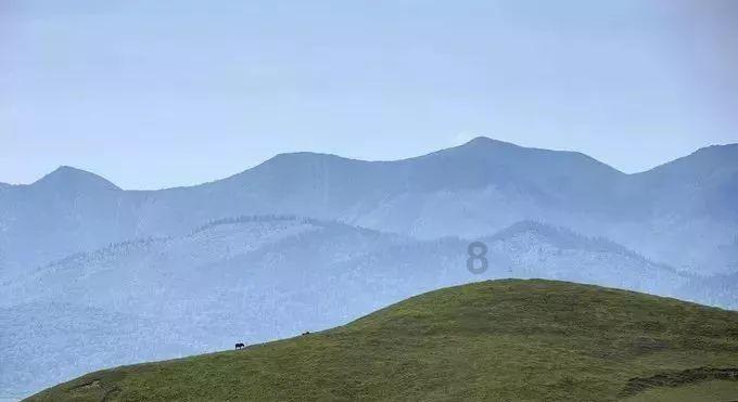 虫虫助手下载