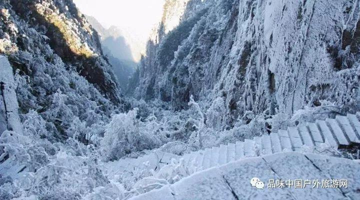 脑洞小老弟无实名认证