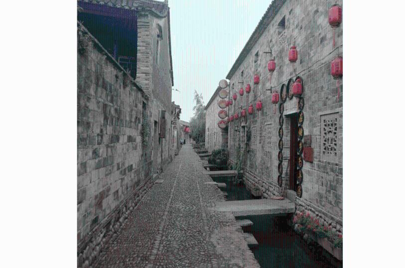 探索如果高考没考上大学怎么办知识星球，解锁无限学习乐趣