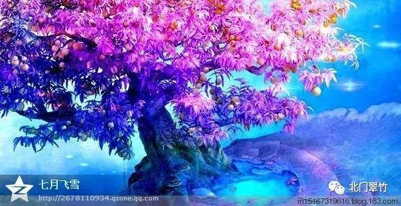 抖音卡顿是怎么回事-分享你的喜悦与忧愁
